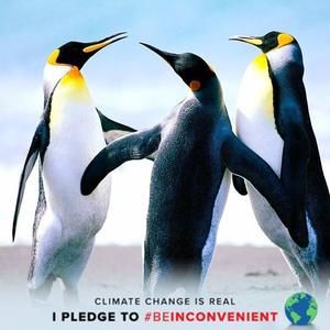 Meet your Posher, Maggie